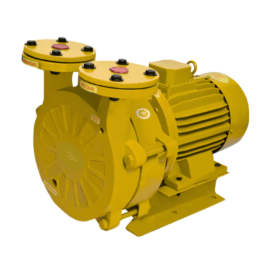 Close Couple Water Ring Vacuum Pump