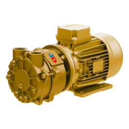 Close Coupled Liquid Ring Vacuum Pump