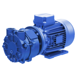 Closed Coupled Water Ring Vacuum Pumps