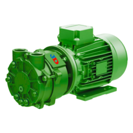 Mono Block Water Ring Vacuum Pump
