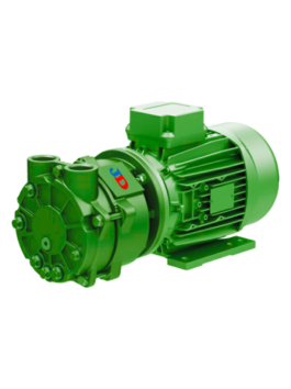 Mono Block Water Ring Vacuum Pump