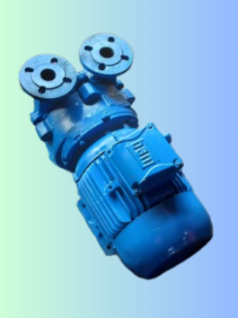 Monoblock Vacuum Pumps