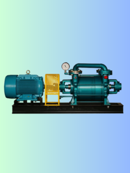 Two Stage Water Ring Vacuum Pumps